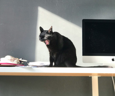 制作実績を追加しました  2025年07月度