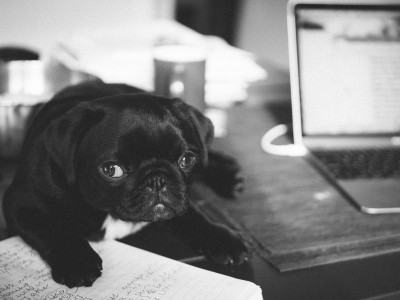 制作実績を追加しました  2023年04月度