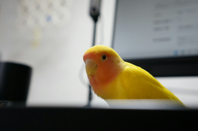 制作実績を追加しました  2025年12月度