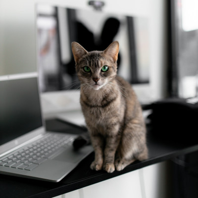 制作実績を追加しました  2023年05月度