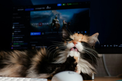 制作実績を追加しました  2025年03月度