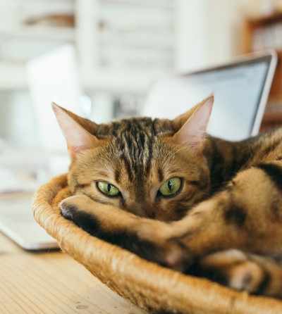 制作実績を追加しました  2024年03月度