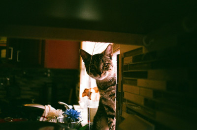 制作実績を追加しました  2025年10月度